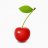 applexiao